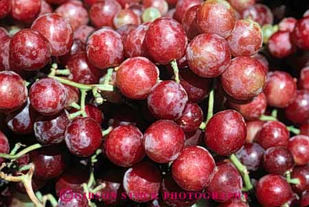 Stock Photo #6397: keywords -  agriculture california cluster crop crops farm farming food fruit grape grapes horz many produce ripe seed seeds table