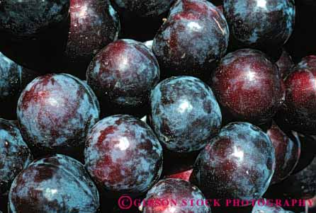Stock Photo #6419: keywords - circle circular crop crops cultivate cultivating cultivation farm farming food fruit grow growing growth hard horz lots many nut plums ripe round sphere spheres spherical