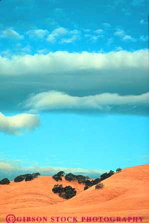 Stock Photo #13814: keywords -  and arid brown california cloud clouds dried dry gold golden grass habitat habitats hills moisture nature plant plants season sky summer vert wild wilderness