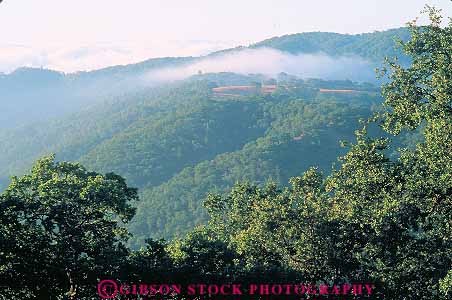 Stock Photo #13817: keywords - and california deciduous fog foothill foothills forest forests grass habitat habitats hill hills horz landscape moisture nature oak plant plants scenery scenic spring summer trees vapor wild wilderness