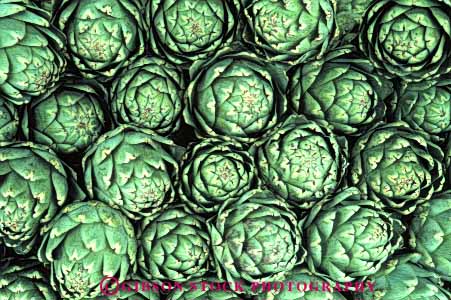 Stock Photo #6460: keywords -  agriculture artichoke artichokes california crop crops cultivate cultivated cultivating cultivation farm farming farms food green horz produce