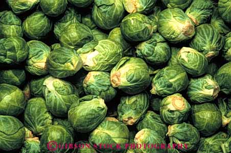 Stock Photo #6475: keywords -  array brussel brussels circular cole crop crops food green horz lots many produce round sphere spherical sprout sprouts vegetable