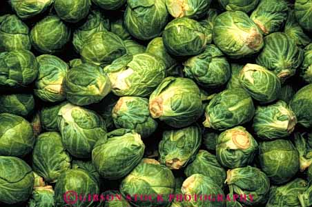 Stock Photo #6475: keywords - array brussel brussels circular cole crop crops food green horz lots many produce round sphere spherical sprout sprouts vegetable