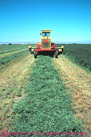 Stock Photo #6495: keywords -  agriculture alfalfa california crop crops cultivate cultivated cultivating cultivation cut equipment farm farming farms feed field green grow growing growth harvest harvested harvester harvesting leaf leaves machine plant plants vert