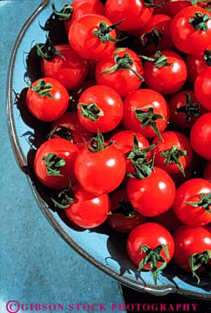 Stock Photo #3313: keywords -  agriculture bowl food red round tomato vert