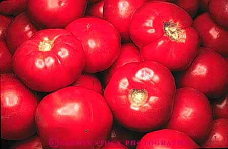 Stock Photo #6514: keywords -  agriculture circle circles color colorful crop crops cultivate cultivated cultivating cultivation farm farming farms food grow growing grown growth horz plants produce red round sphere spheres spherical tomato tomatoe tomatoes vegetable