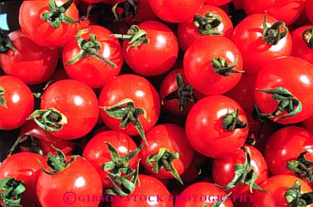 Stock Photo #6515: keywords -  agriculture cherry circle circular color colorful crop crops cultivate cultivated cultivating cultivation farm farming farms food horz produce red round sphere spheres spherical tomato tomatoe tomatoes vegetable