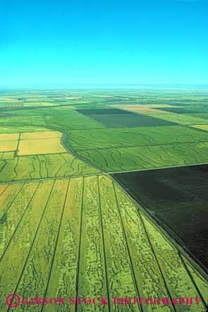 Stock Photo #6524: keywords - aerial agriculture california crop crops cultivate cultivated cultivating cultivation elevate elevated farm farming farms field fields food geometric geometry grain green grow growing grown growth horizon pattern plant plants rice sacramento sky valley vert