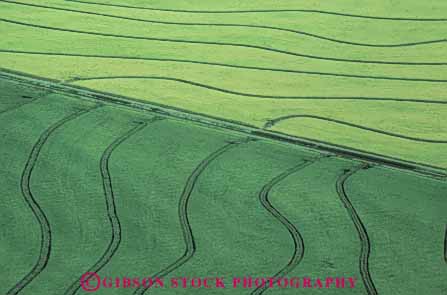 Stock Photo #6538: keywords -  aerial agriculture california crop crops cultivate cultivated cultivating cultivation farm farming farms fields flood food grain grow growing grown growth horz irrigation pattern patterns plant plants rice water
