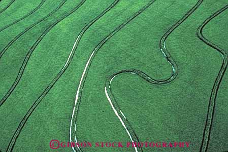 Stock Photo #6539: keywords -  aerial agriculture california crop crops cultivate cultivated cultivating cultivation farm farming farms field flood food grain grow growing grown growth horz irrigation plant plants rice water