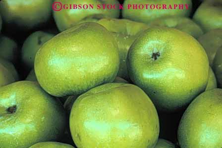 Stock Photo #6590: keywords -  agriculture apple apples autumn circle circular crop crops cultivate cultivated cultivation fall farm farming farms food frow fruit green growing grown growth horz pattern produce repeat repeats repetetion round sphere spheres spherical