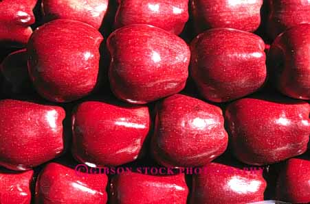 Stock Photo #6593: keywords - agriculture apple apples autumn crop crops cultivate cultivated cultivation display fall farm farming farms food frow fruit growing grown growth horz in pattern produce red repeat repeats repetition row rows symmetrical symmetry