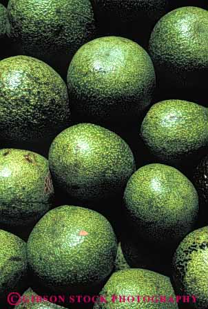 Stock Photo #6609: keywords -  agriculture avocados circle circular crop crops food fruit green pile plant plants produce round seed seeds sphere spheres spherical stack texture vert