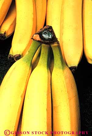 Stock Photo #6610: keywords -  agriculture bananaswbanana bunch cluster crop crops food fruit produce ripe seed seeds vert