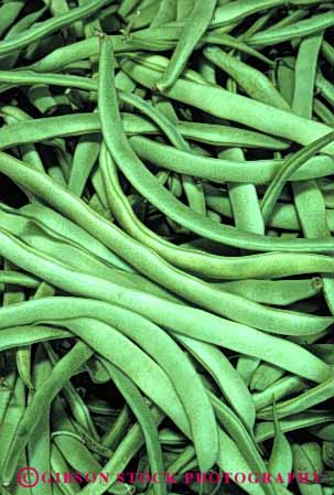 Stock Photo #6621: keywords -  agriculture bean beans crop crops cultivate cultivated cultivating cultivation farm farming farms food fresh green grow growing growth legume legumes plant plants pod pods seed seeds vegetable vegetables vert vine vines