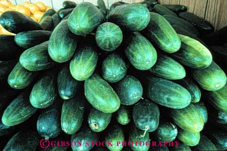 Stock Photo #6622: keywords - agriculture crop crops cucumber cucumbers food horz of pile produce stack vegetable vegetables