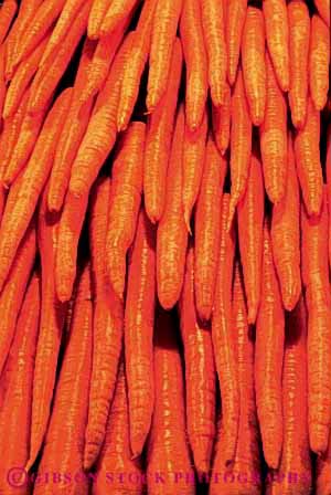 Stock Photo #6623: keywords -  agriculture carrot carrots crop crops food orange pile produce stack vegetable vegetables vert