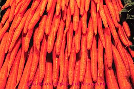 Stock Photo #6624: keywords -  agriculture carrot carrots crop crops food horz orange pile produce stack vegetable vegetables