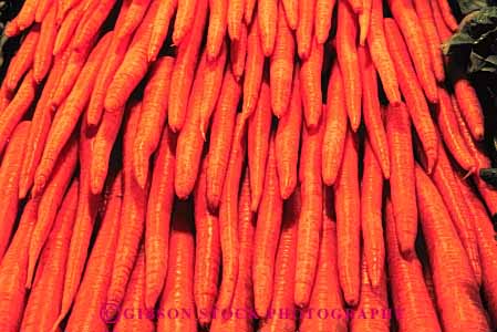 Stock Photo #6624: keywords -  agriculture carrot carrots crop crops food horz orange pile produce stack vegetable vegetables