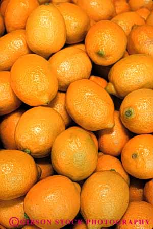 Stock Photo #6632: keywords - agriculture array circle circles citrus crop crops food fruit fruits grow growing grown growth lemon lemons lots many multitude pattern pile produce ripe round sphere spheres spherical vert yellow