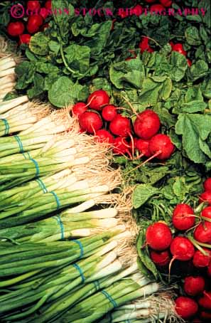 Stock Photo #6638: keywords -  array choice choose color colorful crop crops display food fruit fruits green health healthy lots many multitude onion onions organic plant produce radish radishes select selection variety various vegetable vegetables vert