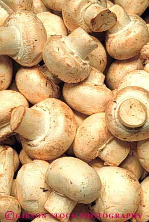 Stock Photo #6641: keywords -  agriculture beige crop crops edible food fungi fungus lots many mushroom mushrooms pile vert