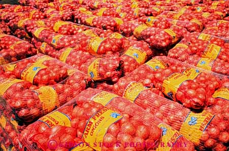 Stock Photo #6645: keywords - agriculture array bags crop crops food group horz lot many multitude of onion onions orange package packaged packaging processed produce product shipment