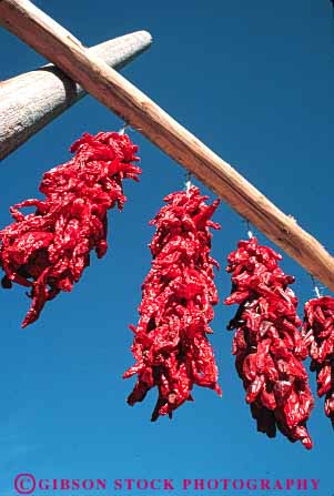 Stock Photo #6670: keywords -  arizona chili chilli color colorful crop crops desiccate desiccated dried dry drying food fruit hang hot pepper peppers produce rack red string sun vegetable vert warm
