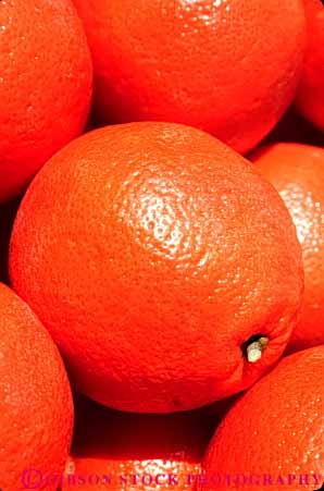 Stock Photo #6679: keywords - circle circular citrus crop crops edible food fruit lots many orange oranges pile produce ripe round sphere spheres spherical ta_ngerine tangelos tangerines vert