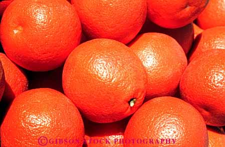 Stock Photo #6680: keywords -  circle circular citrus crop crops edible food fruit horz lots many orange oranges pile produce ripe round sphere spheres spherical tangelos tangerine tangerines