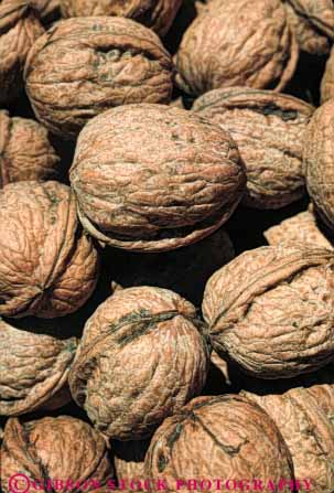 Stock Photo #6683: keywords -  california hard lots many nut nuts pile round seed shell shells vert walnut walnuts