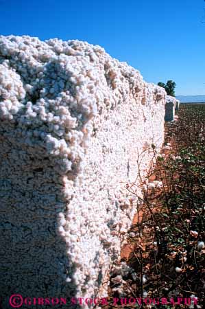 Stock Photo #6719: keywords -  agriculture arizona cotton crop crops farm farming farms harvest harvested harvesting pile process processing stack stacked vert