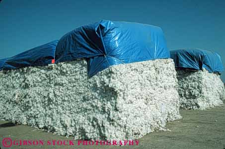 Stock Photo #6721: keywords -  agriculture california cotton crop crops farm farming farms harvest harvested horz pile process processing stack stacked