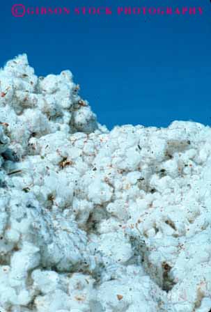 Stock Photo #6722: keywords - agriculture california cotton crop crops farm farming farms mature pile process processing refine vert white