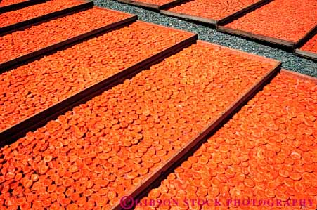 Stock Photo #6737: keywords - agriculture air apricots california crop crops cultivate cultivated cultivating desiccate desiccated desiccates desiccating dried dries dry drying evaporate evaporated evaporating evaporative farm farming farms fruit fruits grid grow growing grown growth hard hardnut harvest harvested harvesting horz hot loss moisture nut orange outdoor pattern preserve preserved preserving produce rectangle square sun water