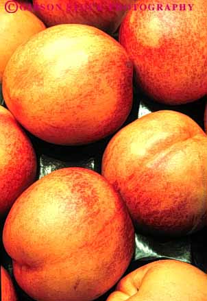 Stock Photo #6741: keywords -  agriculture circle circular delicious food fruit fruits hard hardnut lots many nectarine nectarines nut pile produce ripe round sphere spheres spherical vert