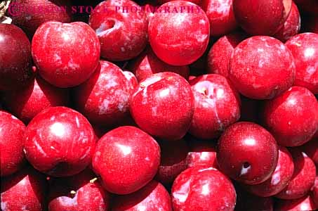 Stock Photo #6742: keywords - agriculture circle circular delicious food fruit fruits hard hardnut horz lots many nectarine nectarines nut pile produce ripe round sphere spheres spherical