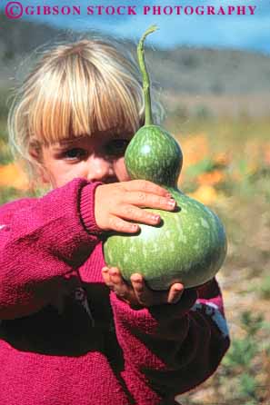 Stock Photo #6787: keywords -  agriculture crop crops cultivated farm farming farms food girl gourd green grow growing growth holding plant plants pod released seed squash vegetable vegetables vert