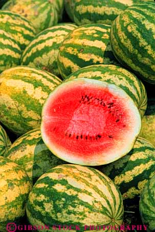 Stock Photo #6790: keywords -  agriculture big cut eat food fruit green half heavy large melon melons oblong plant plants pod pods red round section seed vegetable vegetables vert water watermelon watermelons
