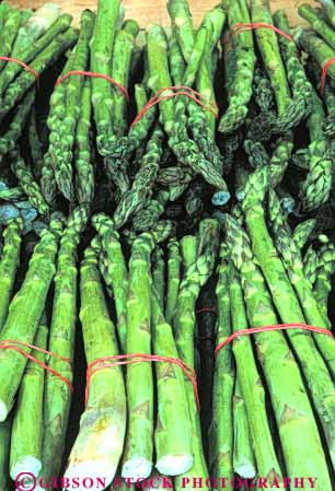 Stock Photo #6799: keywords -  agriculture asparagus bunch bunches cluster clusters crop crops display food green linear parallel pattern plant produce stem stems vegetable vegetables vert