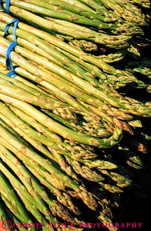 Stock Photo #6800: keywords - agriculture asparagus bunch cluster clusters crop crops display food green linear parallel pattern plant produce stem stems vegetable vegetables vert