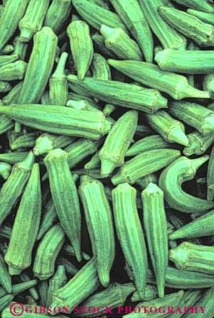 Stock Photo #6802: keywords -  agriculture crop crops food fresh fruits green grow growing growth okra pod pods produce seed vert