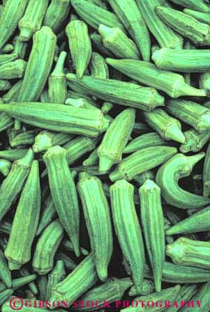 Stock Photo #6804: keywords -  agriculture bunch cluster clusters crop crops food green okra pattern plant pod pods seed vegetable vegetables vert