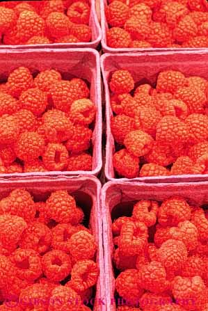 Stock Photo #6805: keywords -  agriculture berries berry bunch carton cartons cluster clusters container containers crop crops display food fruit fruits grid pattern patterns plant pod pods produce raspberries raspberry red seed vegetable vegetables vert