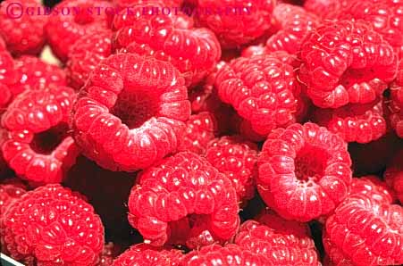 Stock Photo #6807: keywords - agriculture berries berry bunch cluster clusters crop crops food fruit fruits horz lots many pattern pile plant pod pods raspberries raspberry red seed vegetable vegetables