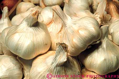 Stock Photo #6810: keywords - agriculture clove cloves crop crops flavor food garlic horz lots many produce seasoning spice white