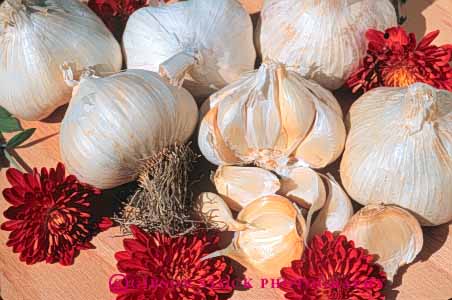 Stock Photo #6811: keywords - agriculture clove cloves crop crops flavor food garlic horz lots many produce seasoning spice white