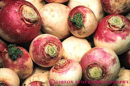 Stock Photo #6813: keywords -  agriculture bunch circle circular cluster clusters crop crops food horz lots many pattern plant produce root roots seed sphere spheres spherical turnip turnips vegetable vegetables