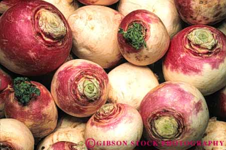 Stock Photo #6813: keywords - agriculture bunch circle circular cluster clusters crop crops food horz lots many pattern plant produce root roots seed sphere spheres spherical turnip turnips vegetable vegetables