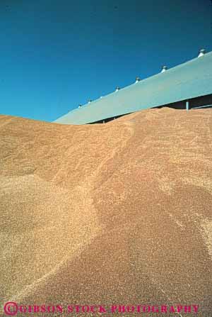 Stock Photo #6829: keywords -  agriculture barley brown died dry drying farm farming farms grain grains harvest harvested harvesting pile process processing vert
